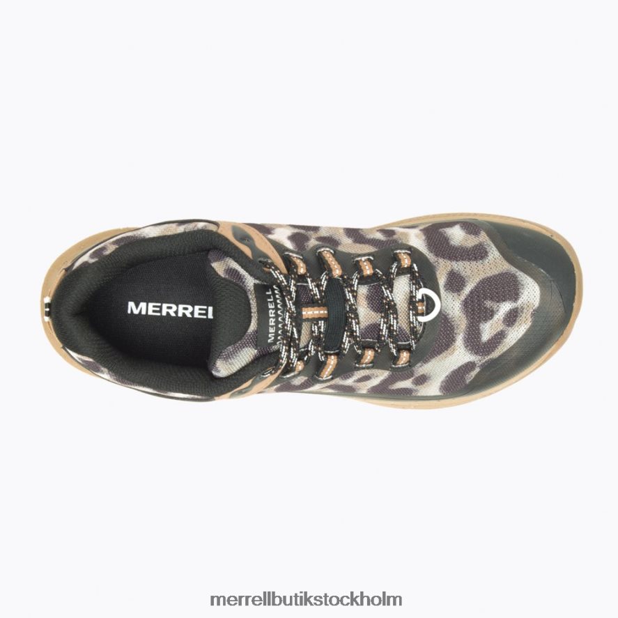 kvinnor Merrell sepia leopard antora 3 leopard skor DP80HP1041