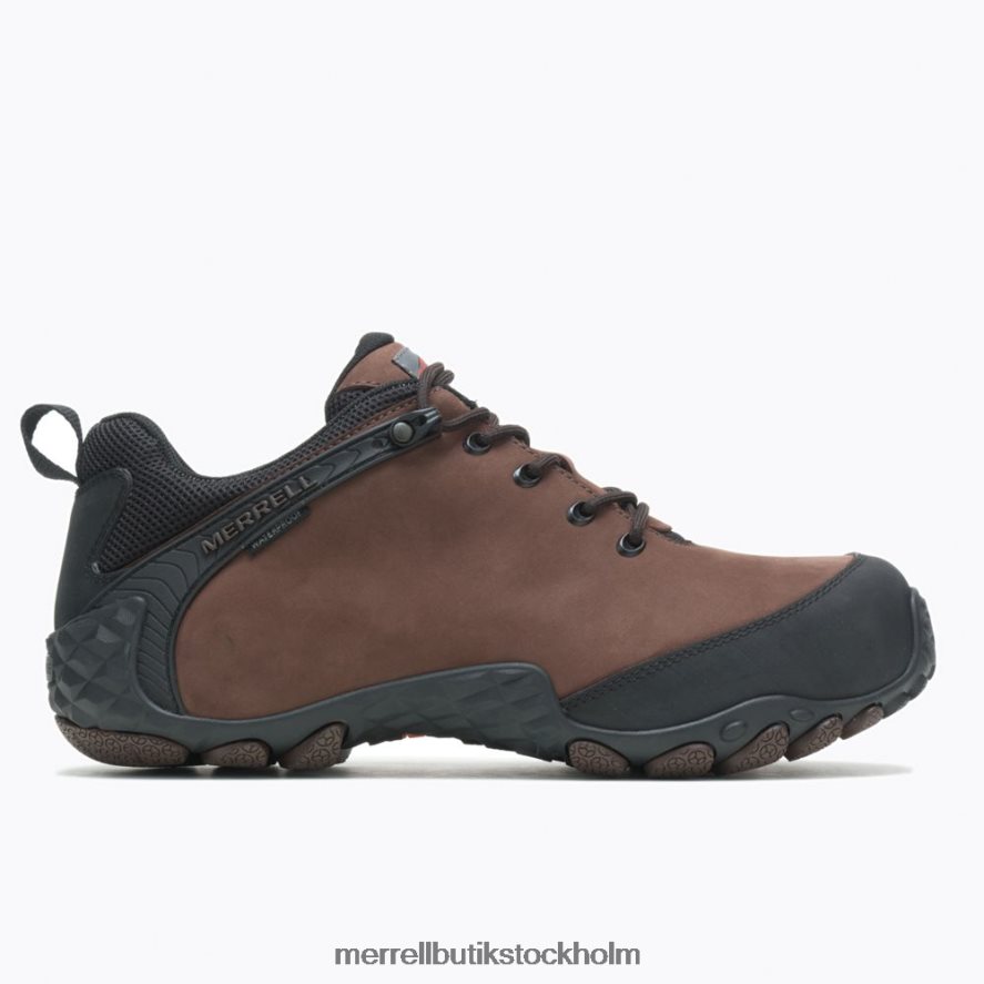 män Merrell brun kameleont flux läder vattentät kolfiber skor DP80HP660