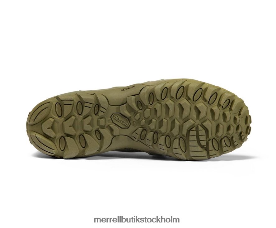 män Merrell mörk oliv cham 8 stretch taktisk skor DP80HP481