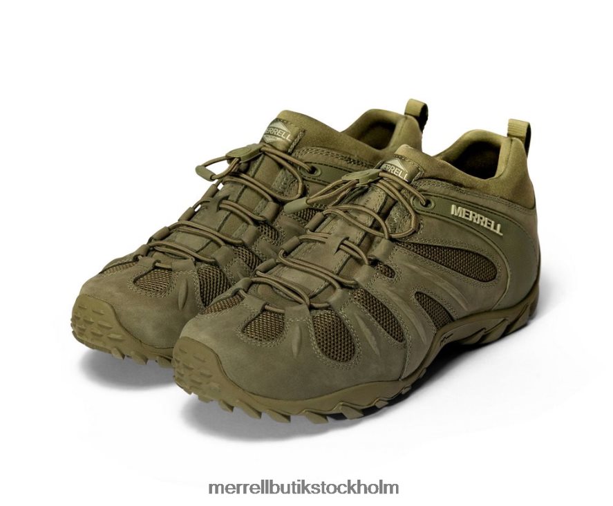 män Merrell mörk oliv cham 8 stretch taktisk skor DP80HP481