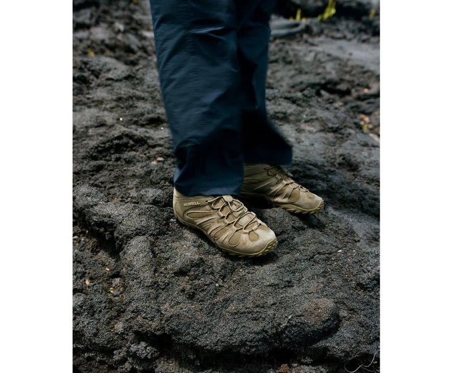 män Merrell mörk oliv cham 8 stretch taktisk skor DP80HP481