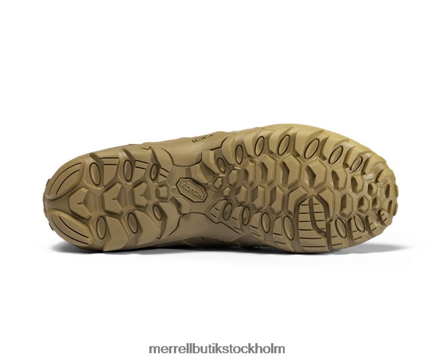 män Merrell prärievarg cham 8 stretch taktisk skor DP80HP480