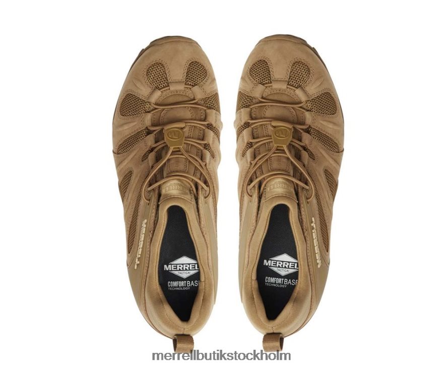 män Merrell prärievarg cham 8 stretch taktisk skor DP80HP480