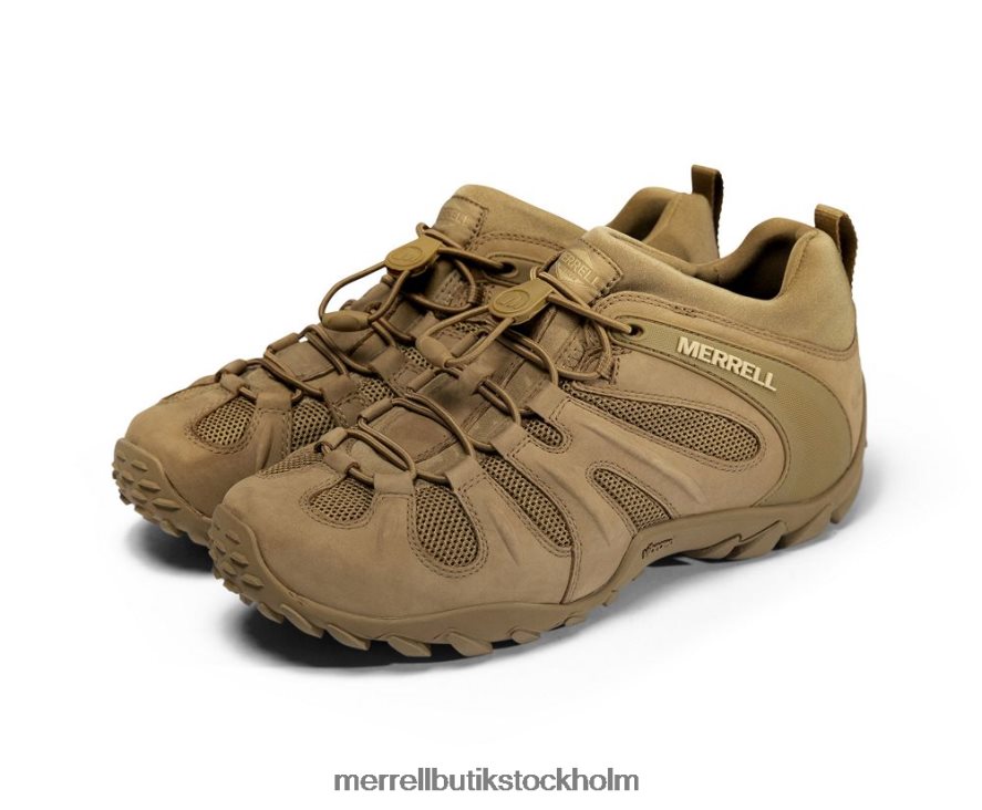 män Merrell prärievarg cham 8 stretch taktisk skor DP80HP480