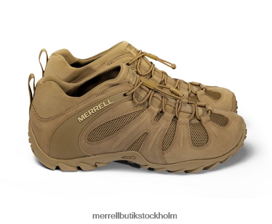 män Merrell prärievarg cham 8 stretch taktisk skor DP80HP480