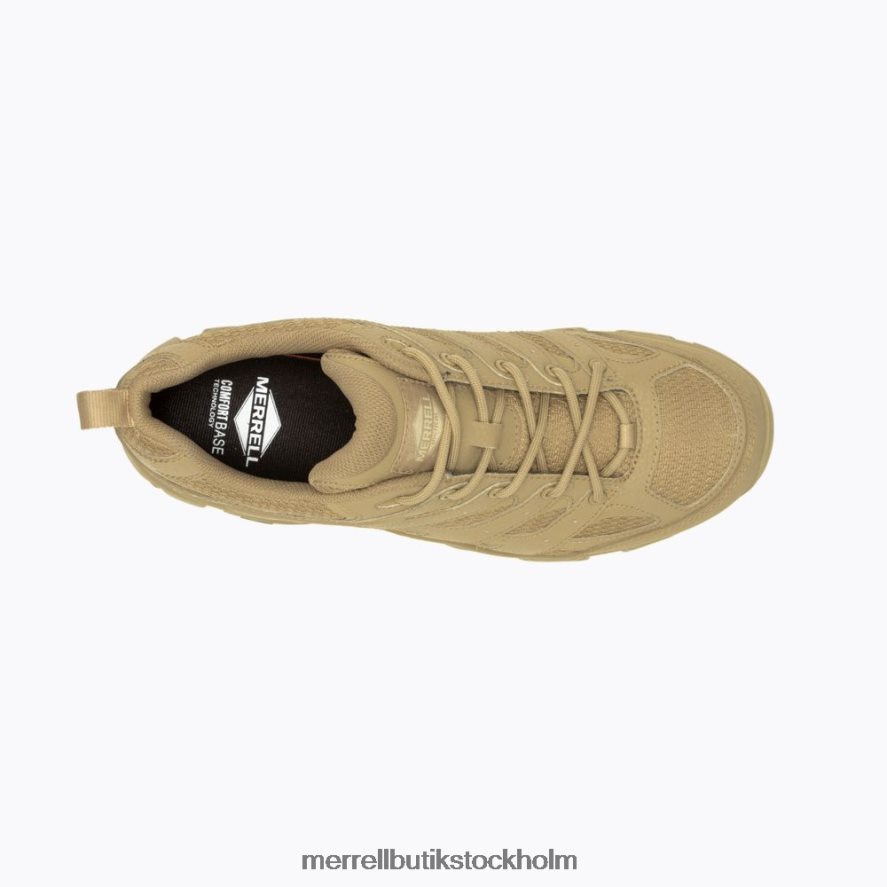 män Merrell prärievarg moab 3 taktisk sko skor DP80HP639