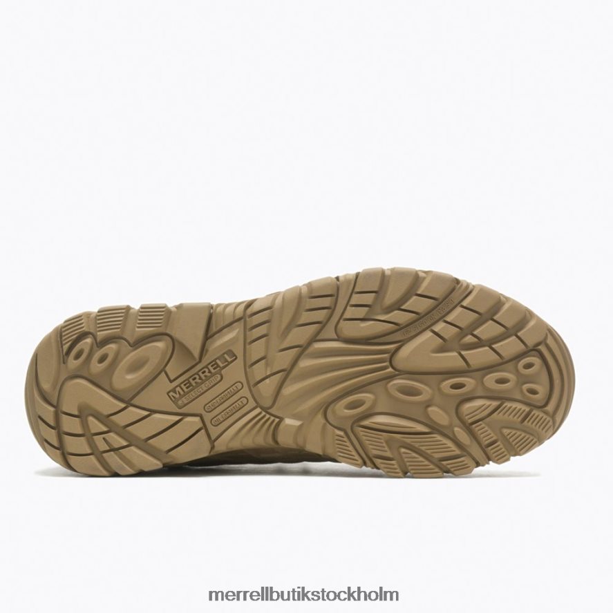 män Merrell prärievarg moab hastighet taktisk medelvattentät skor DP80HP347