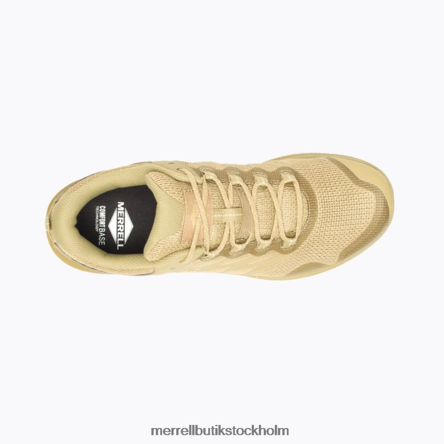 män Merrell prärievarg nova 3 taktisk skor DP80HP333