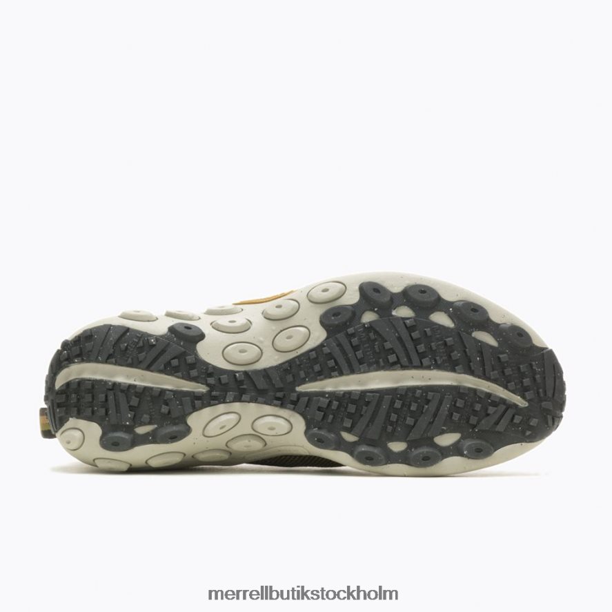 män Merrell ört djungel moc evo skor DP80HP712