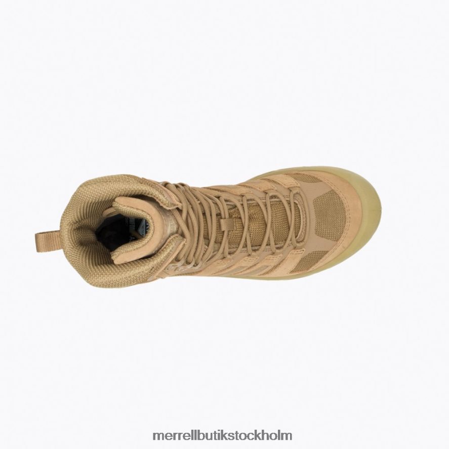 män Merrell mörk prärievarg strongfield taktisk 8\'\' vattentät stövel skor DP80HP468