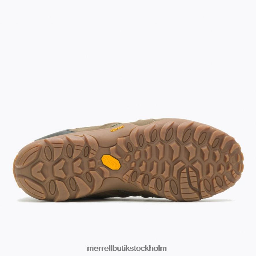 män Merrell oliv chameleon 8 stretch skor DP80HP282