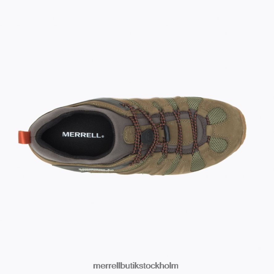 män Merrell oliv chameleon 8 stretch skor DP80HP282