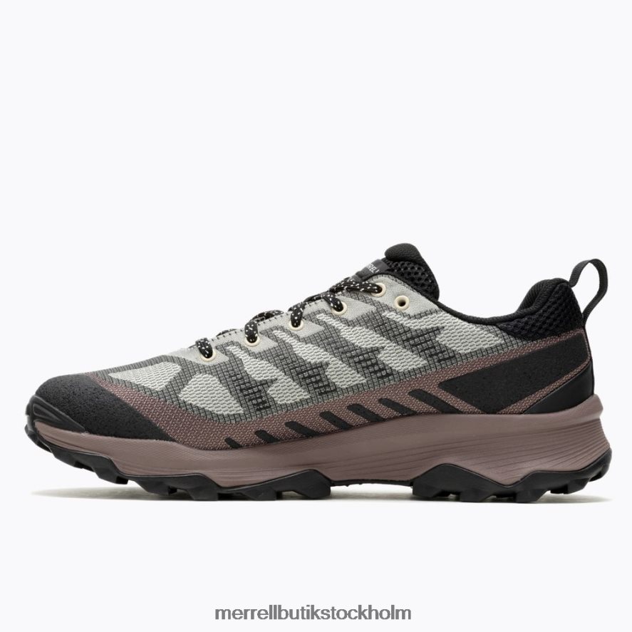 män Merrell ostron/marron fart eko skor DP80HP31