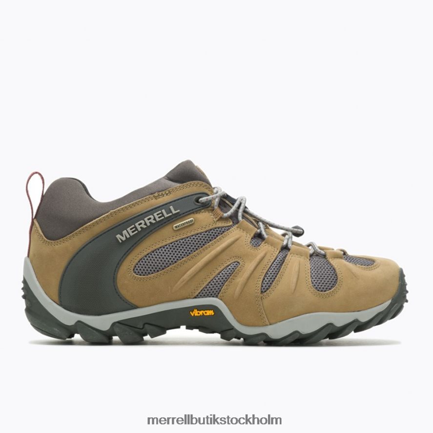 män Merrell smörnöt chameleon 8 stretch vattentät skor DP80HP183
