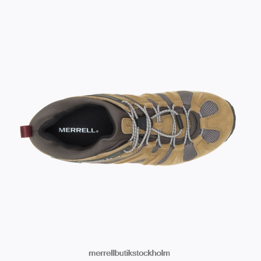 män Merrell smörnöt chameleon 8 stretch vattentät skor DP80HP183