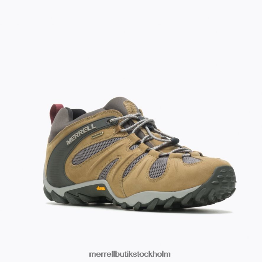 män Merrell smörnöt chameleon 8 stretch vattentät skor DP80HP183